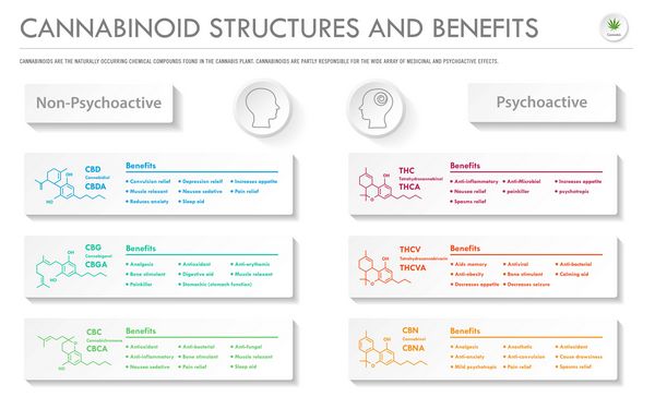 Another Avenue Cannabinoid Structures and Benefits