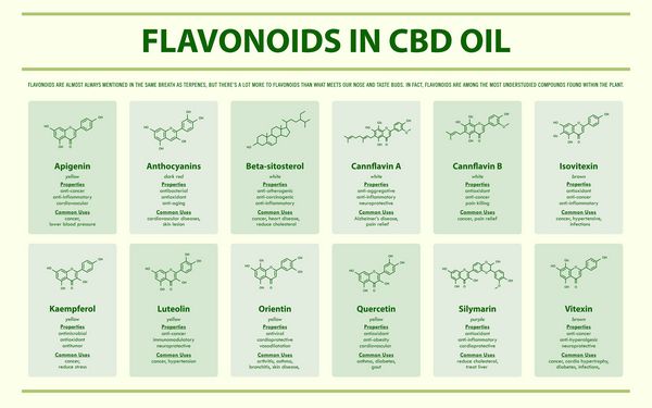 Another Avenue Flavonoids in CBD Oil